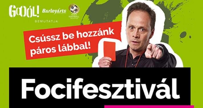 Janklovics fociszakértő lett
