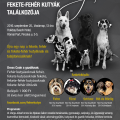 Black & White Dog Party újratöltve - Stylenews, divat, életmód, stílus