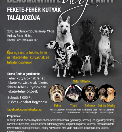 Black & White Dog Party újratöltve