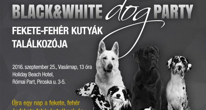 Black & White Dog Party újratöltve