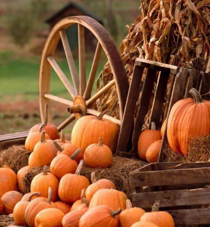 10 étel és ital, amit sütőtökből készíthetsz